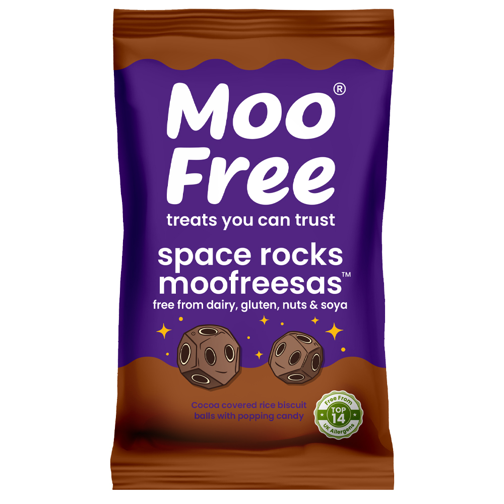 Space Rocks (Pack of 15)